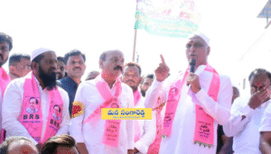 Untitled design (13)